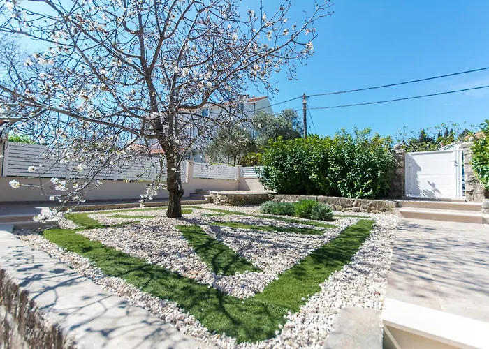 D&d 두브로브니크