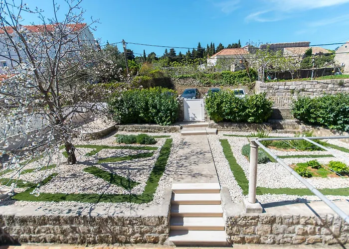 D&d 두브로브니크