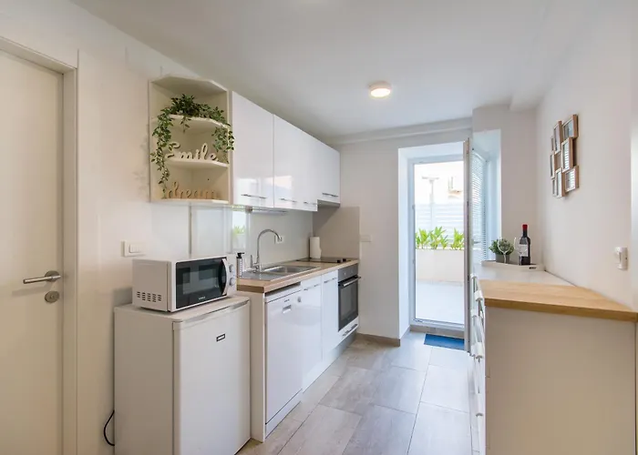 D&d * 두브로브니크